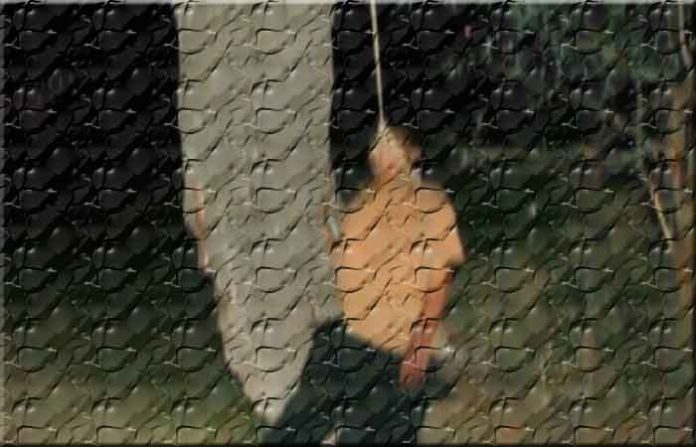 suicide