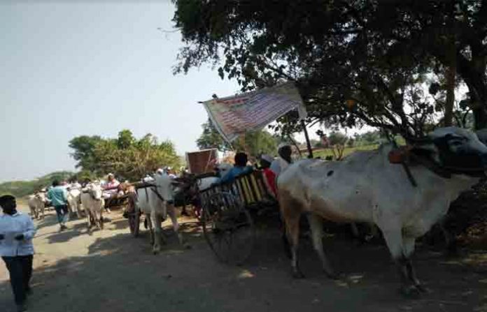 bulloct-cart