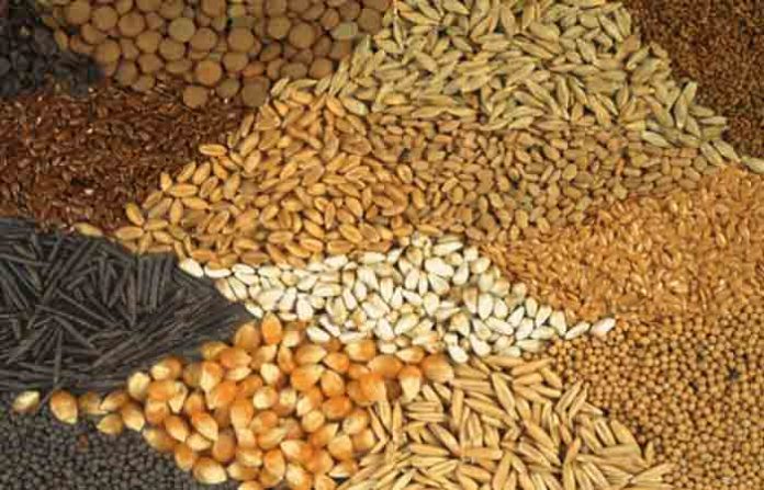 food-grain