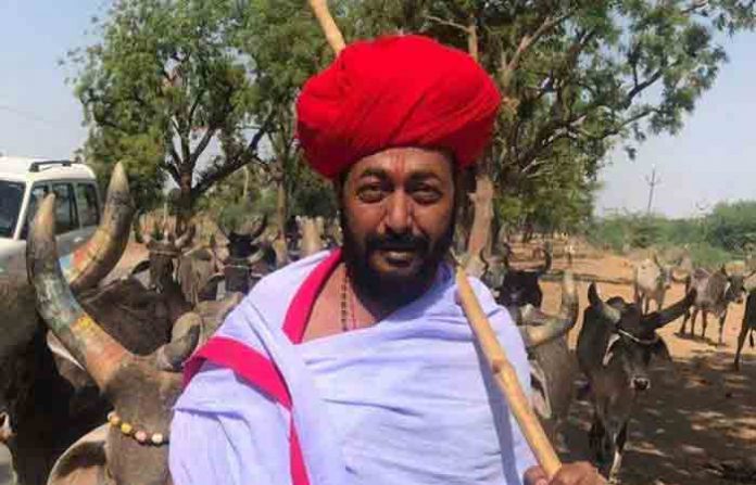 cow-minister