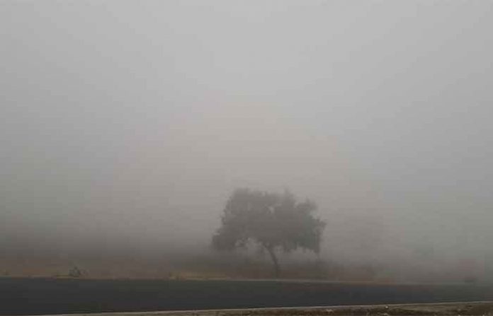 beed-cold