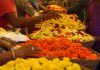 चेहरा सुंदर दिसण्यासाठी हे फूल वरदानापेक्षा कमी नाही, वाचा