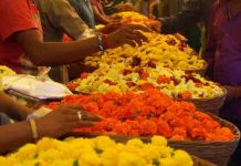 चेहरा सुंदर दिसण्यासाठी हे फूल वरदानापेक्षा कमी नाही, वाचा