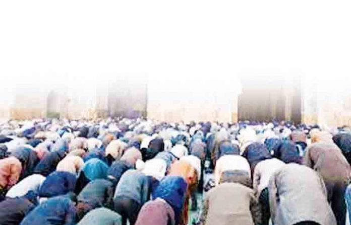 namaj11