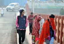 मुंबईत पाच दिवस थंडीचे!आठ जिल्ह्यांना थंडीच्या लाटेचा इशारा