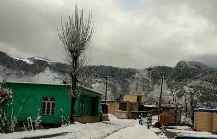 kashmir