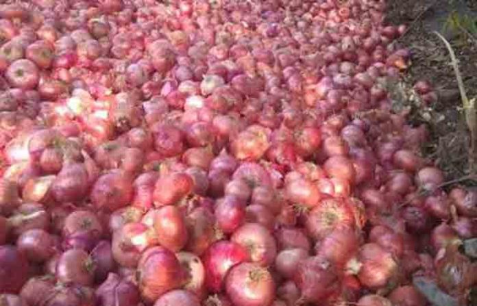 onion-2
