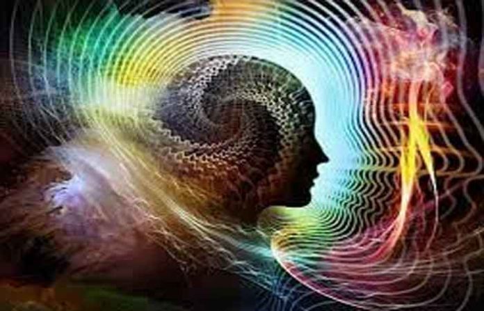 human-mind