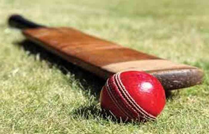 cricket-12