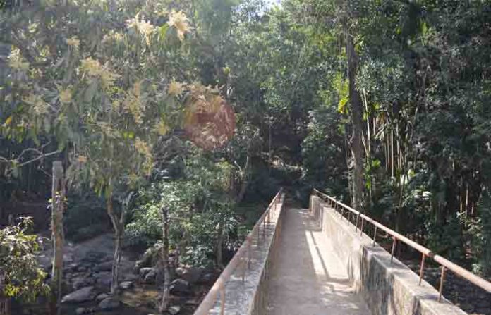 garambicha-pool-1