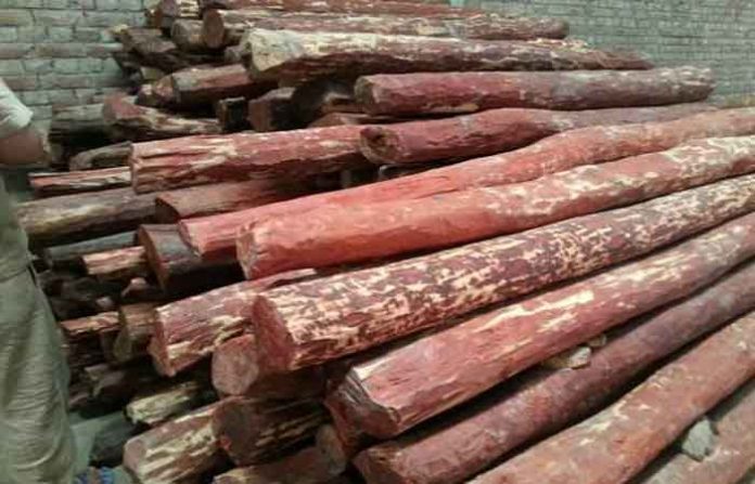 red-sandalwood