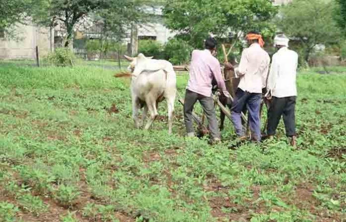 farming