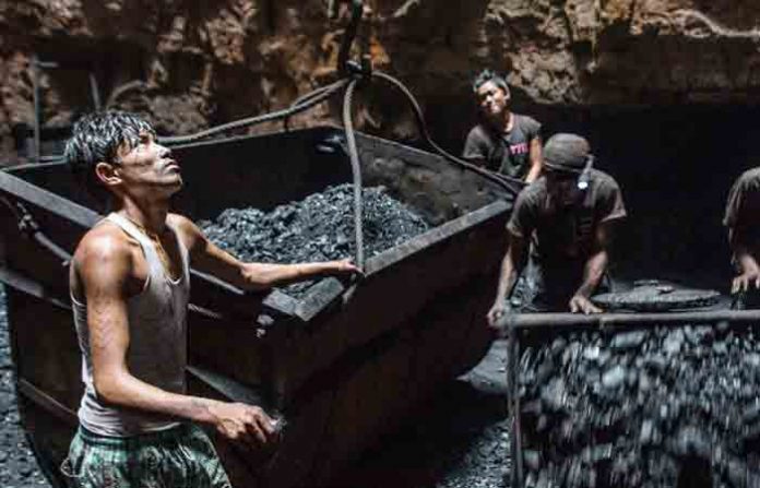coal-ff