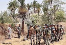 छत्तीसगडमधील ३६ नक्षलवाद्यांनी केलं आत्मसमर्पण, २७ जणांवर होतं ६५ लाख रुपयांचे बक्षीस