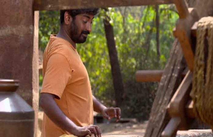 pandu-near-well