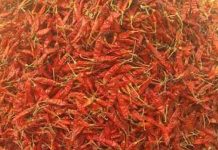 मिरचीच्या दराने गाठला उच्चांक, यावर्षी तिखट पावडर महिलांच्या डोळ्यात पाणी आणणार