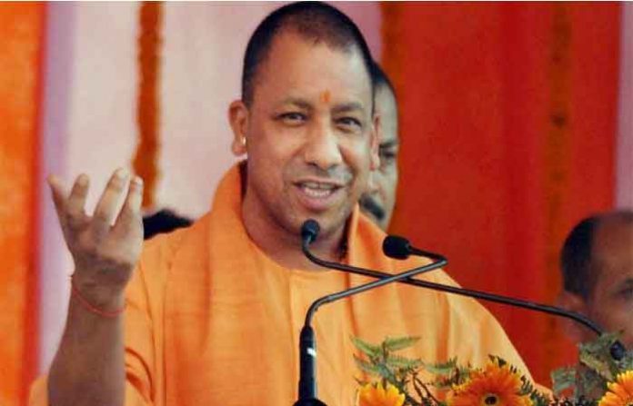 yogi-happy