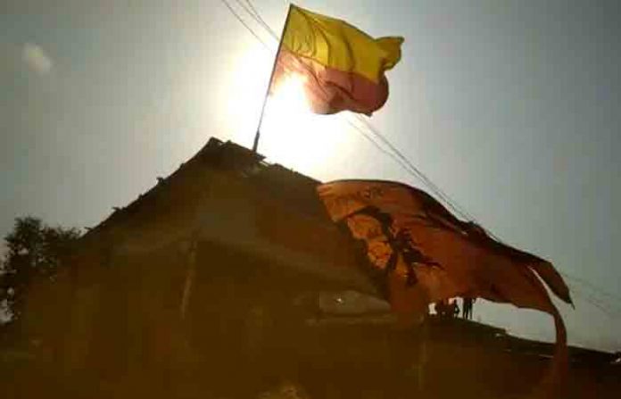 belgaum-flag