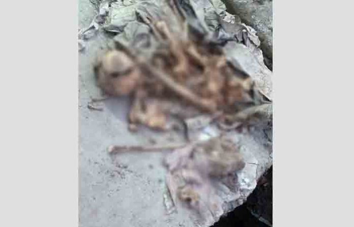 bones-found-home