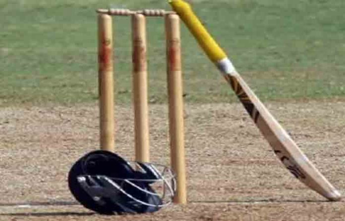 cricket