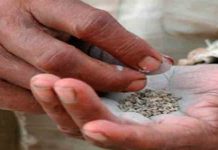 ग्रामीण हिंदुस्थानात शिक्षणापेक्षा गुटख्यावर अधिक खर्च; सरकारी सर्वेक्षणातून धक्कादायक वास्तव