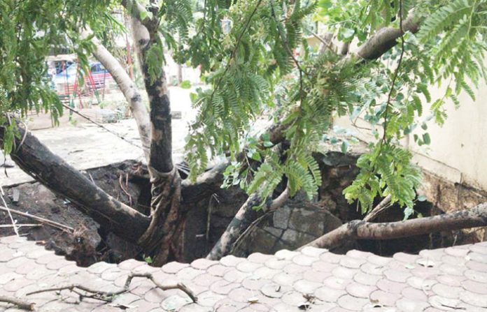 cave-in-borivali