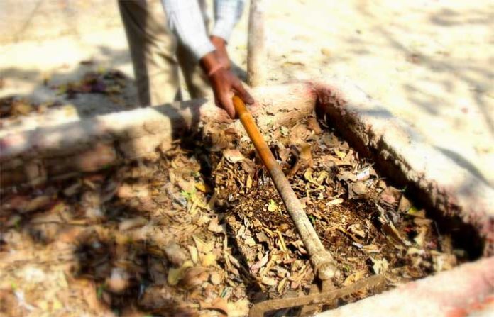 compost15-06