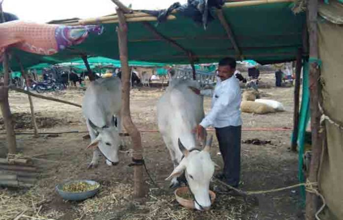 drought-situation-in-aashti