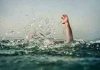 कुर्ला येथे तलावात बुडून तरुणाचा मृत्यू drowned