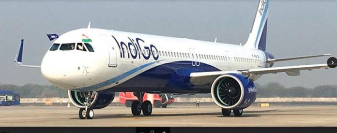 indigo-1