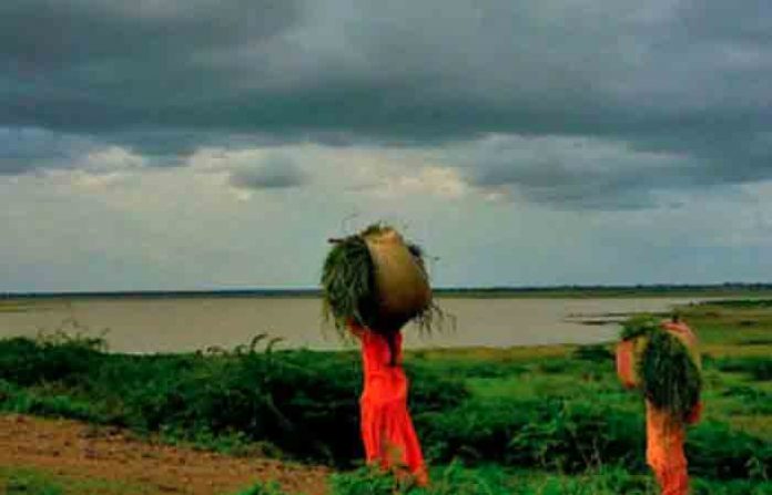 monsoon-in-maharashtra