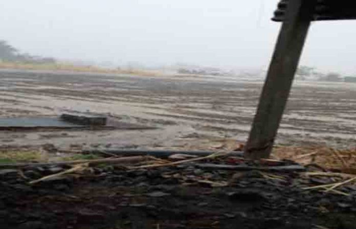 renapur-rain-24