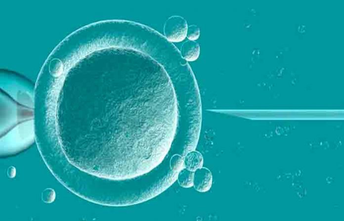 ivf