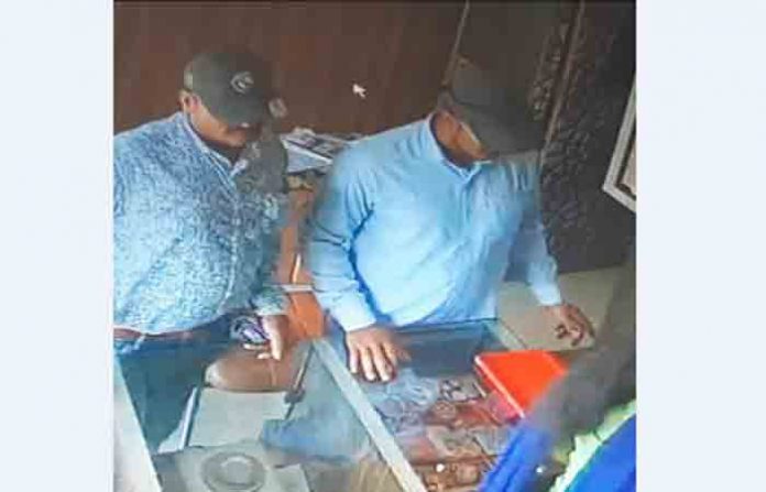 latur-theft