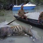 assam2