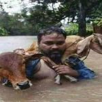assam4