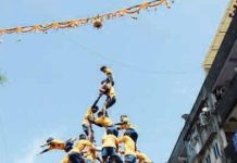 dahihandi