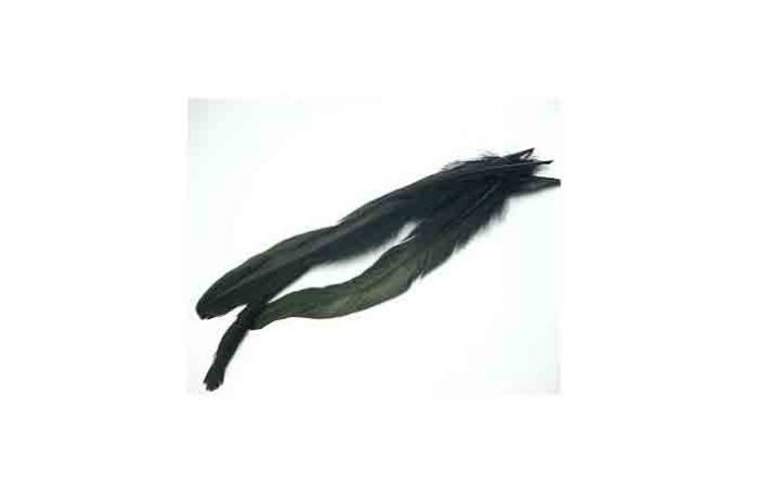 feather