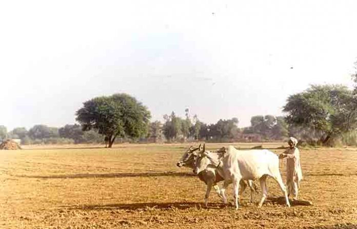 sowing-stopped