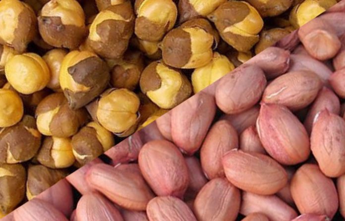 chane-dane-ground-nuts