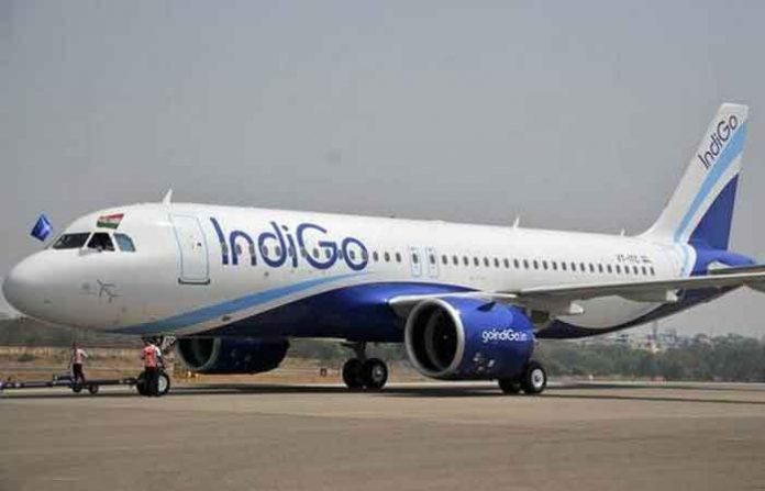 indigo