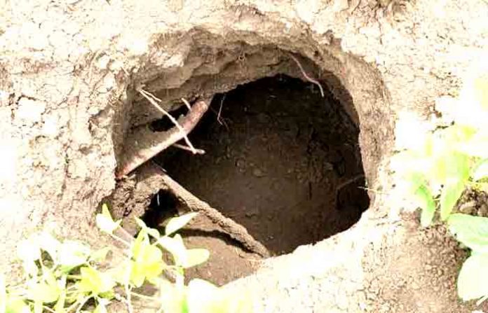 nilanga-hole