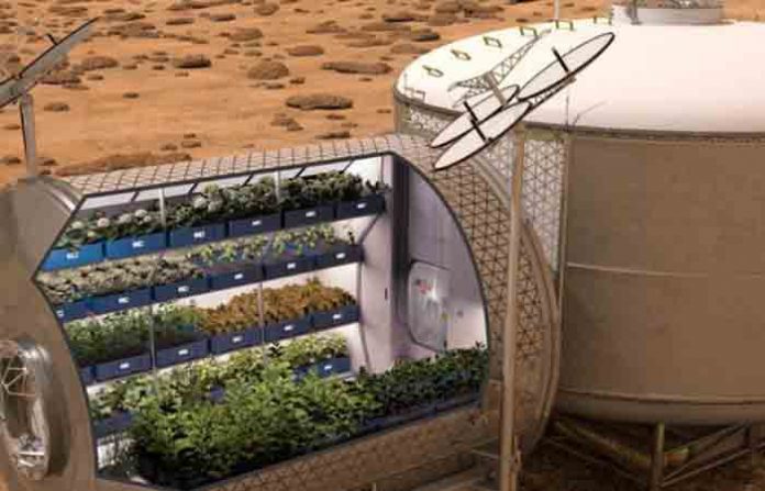space-gardening