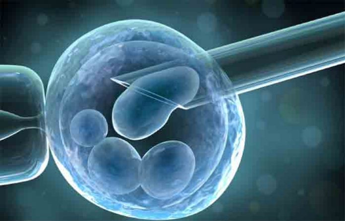 stem-cell
