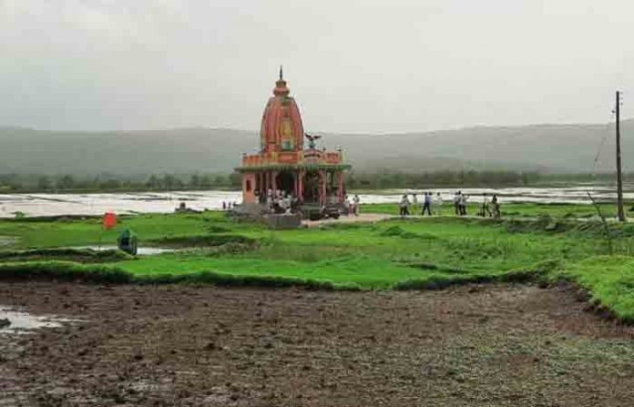 temple-fin