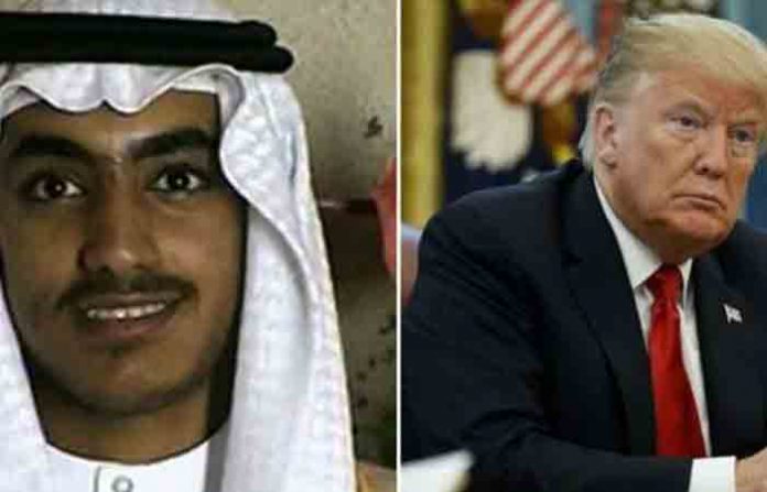 hamja-bin-laden