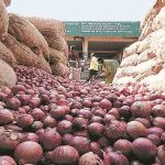 onion