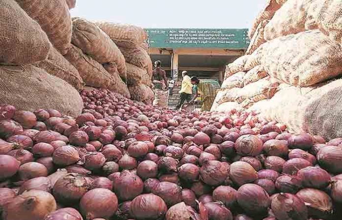 onion onion