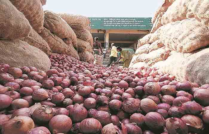 onion onion