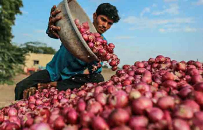 onion17